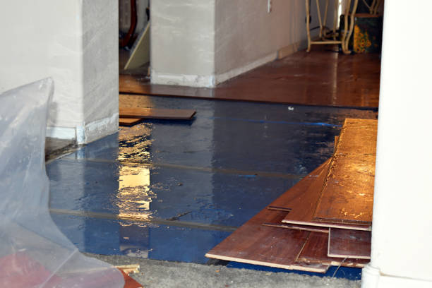 Professional Basement Flood Cleanup technician working in Brownsville, LA